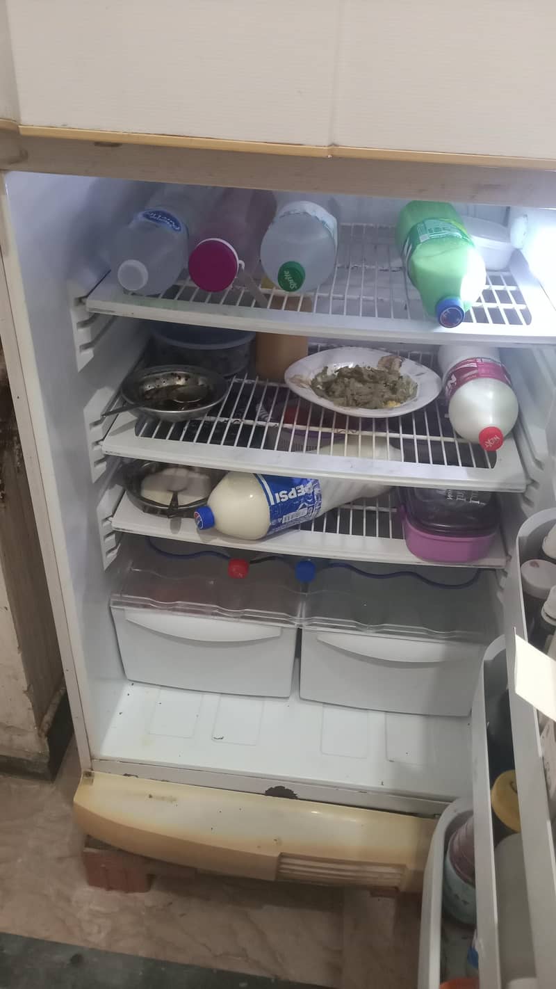 Pell fridge Model 2015 2