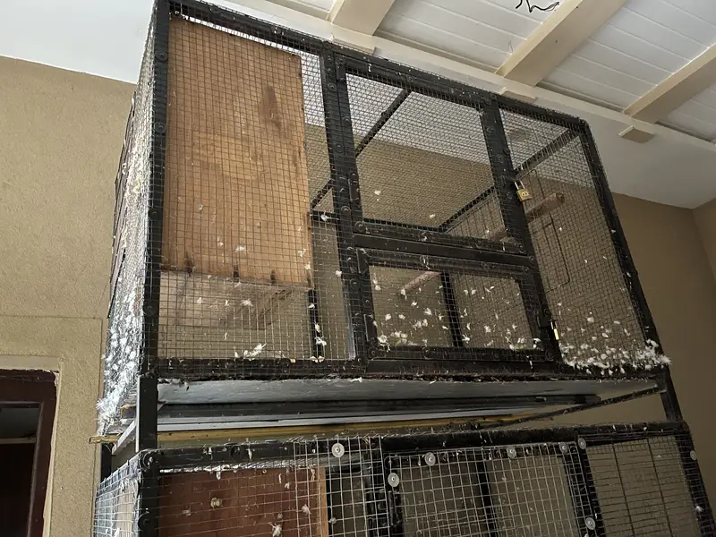 Steel pipe cages available — photo 2