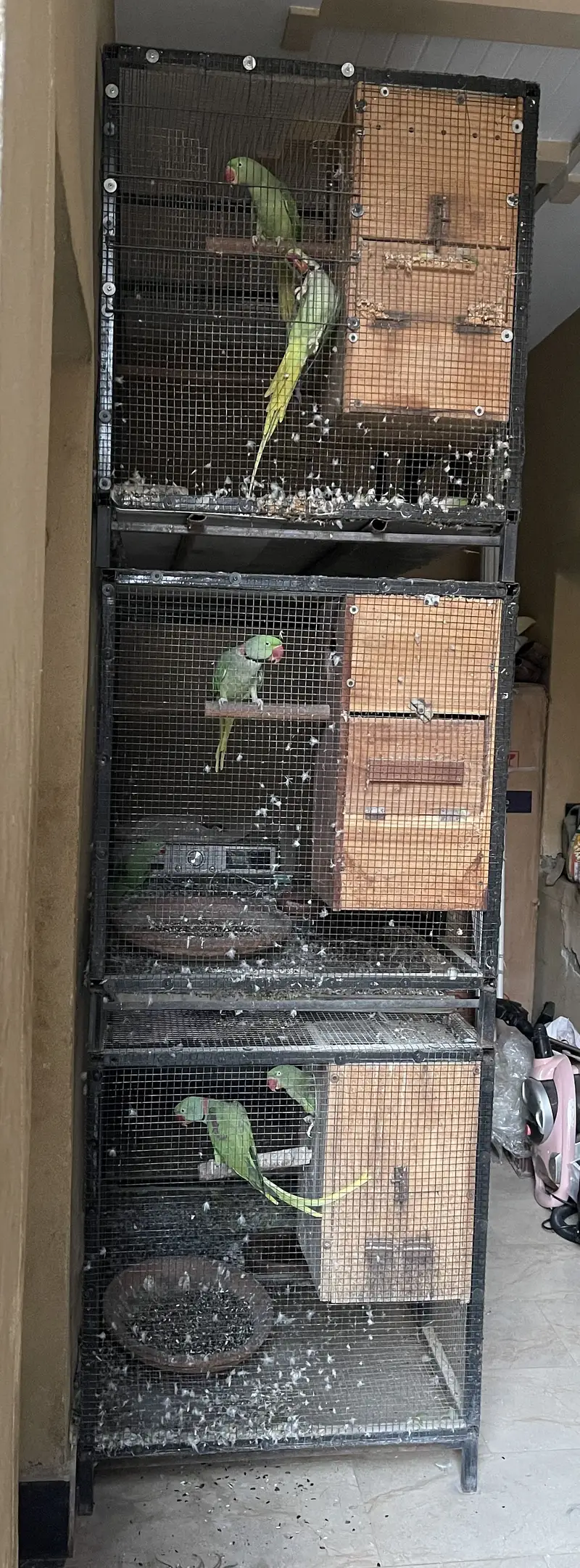 Steel pipe cages available — photo 3