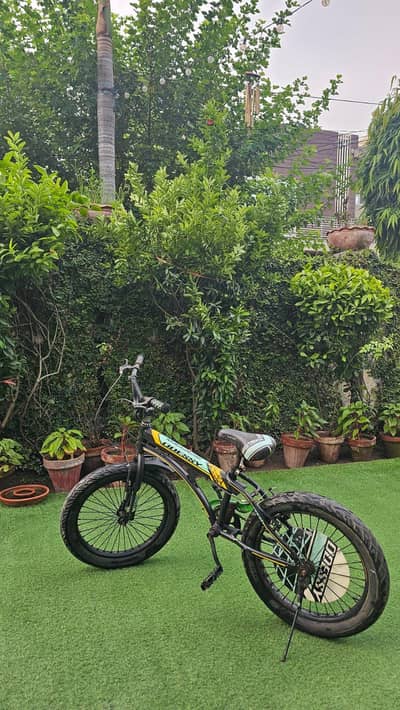 Two Bicycles For Sale