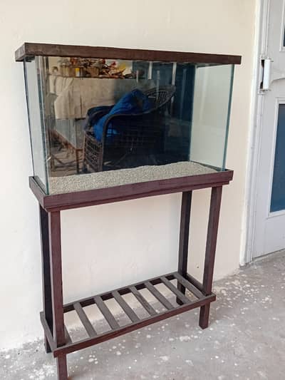 fish aquarium 2 feet
