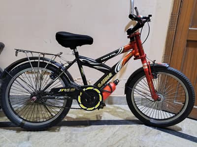 Bicycle Classic   Bicycle 20  inches For Sale