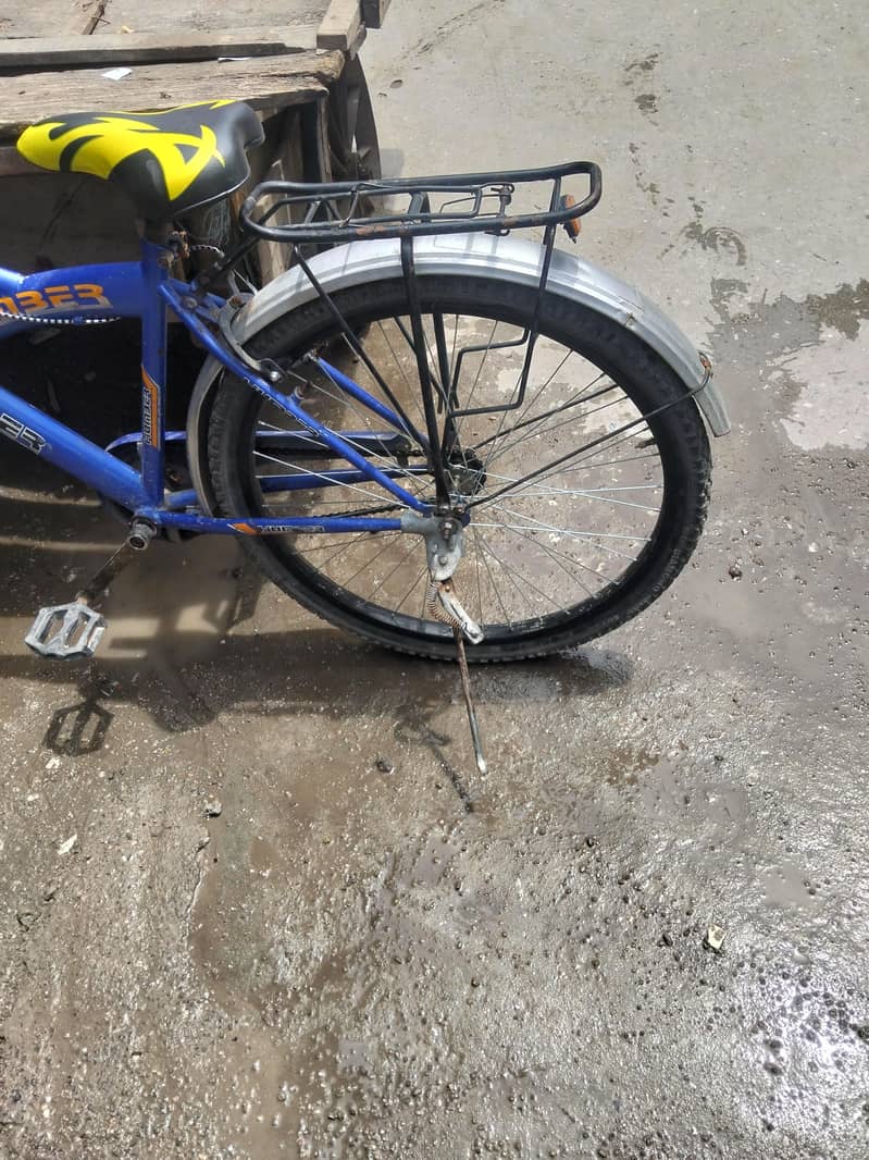 bicycle 2