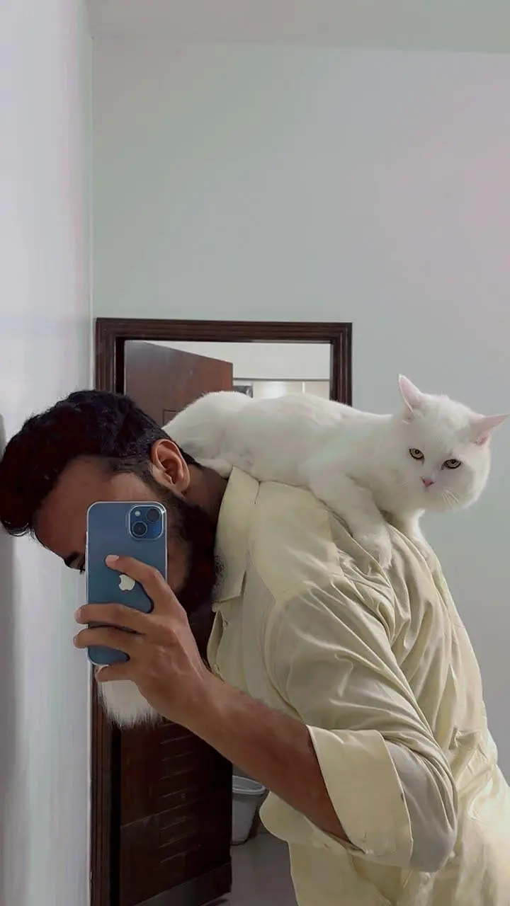 Persian — photo 2