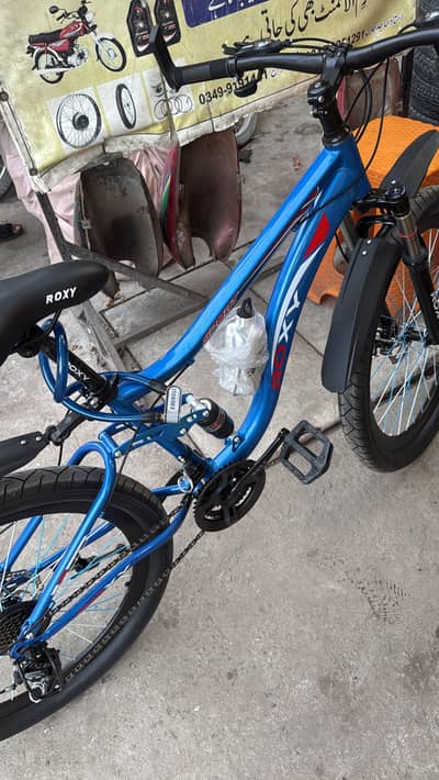 Roxy bicycle