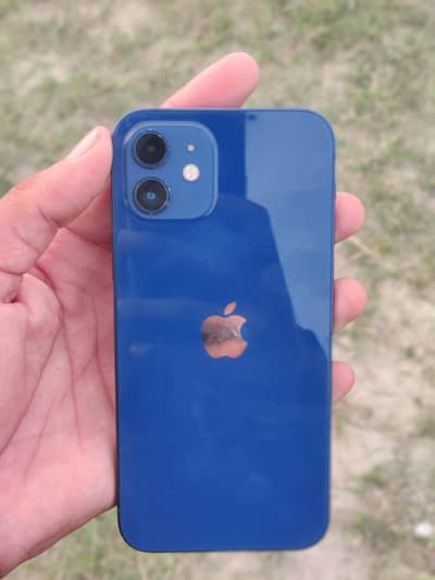 Apple iPhone 12