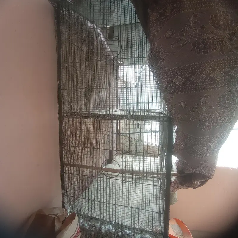 Full Size Cage — photo 2