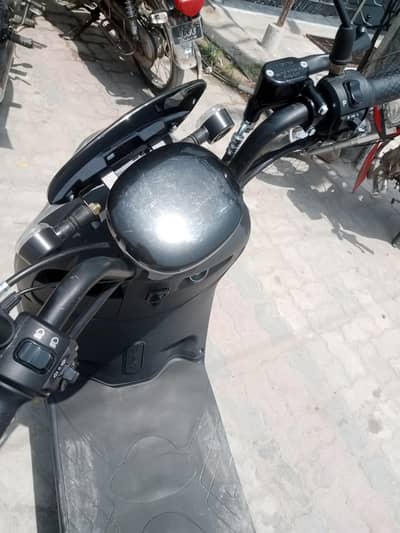 Eveon Flora 800 Watt