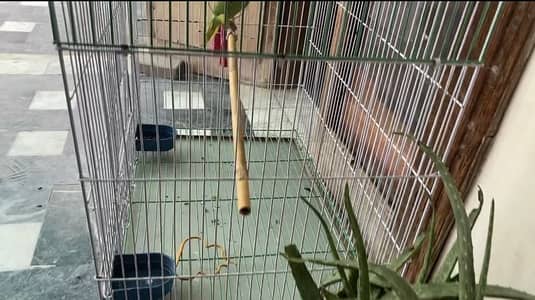 Cage new condition