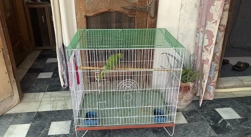 Cage new condition — photo 2