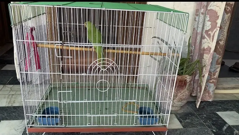 Cage new condition — photo 4