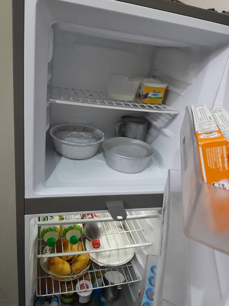 fridge 2