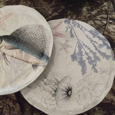 marks and Spencer plates