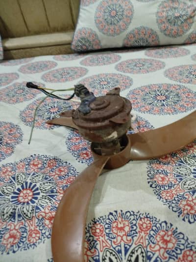 12 volt balleno motor