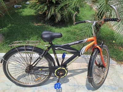 Milano Classic Steel Cycle