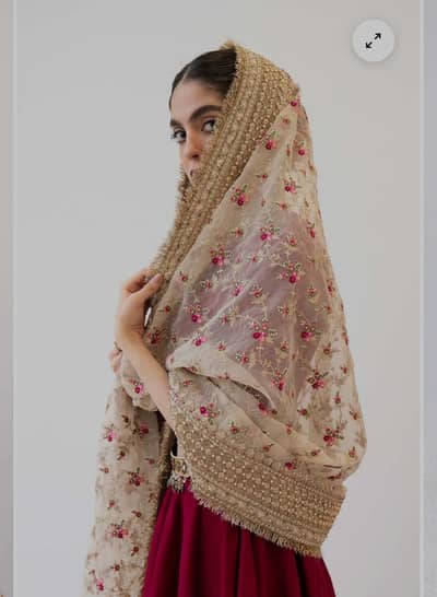 Zara shahjahan lehenga choli