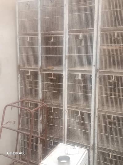 cages and frame