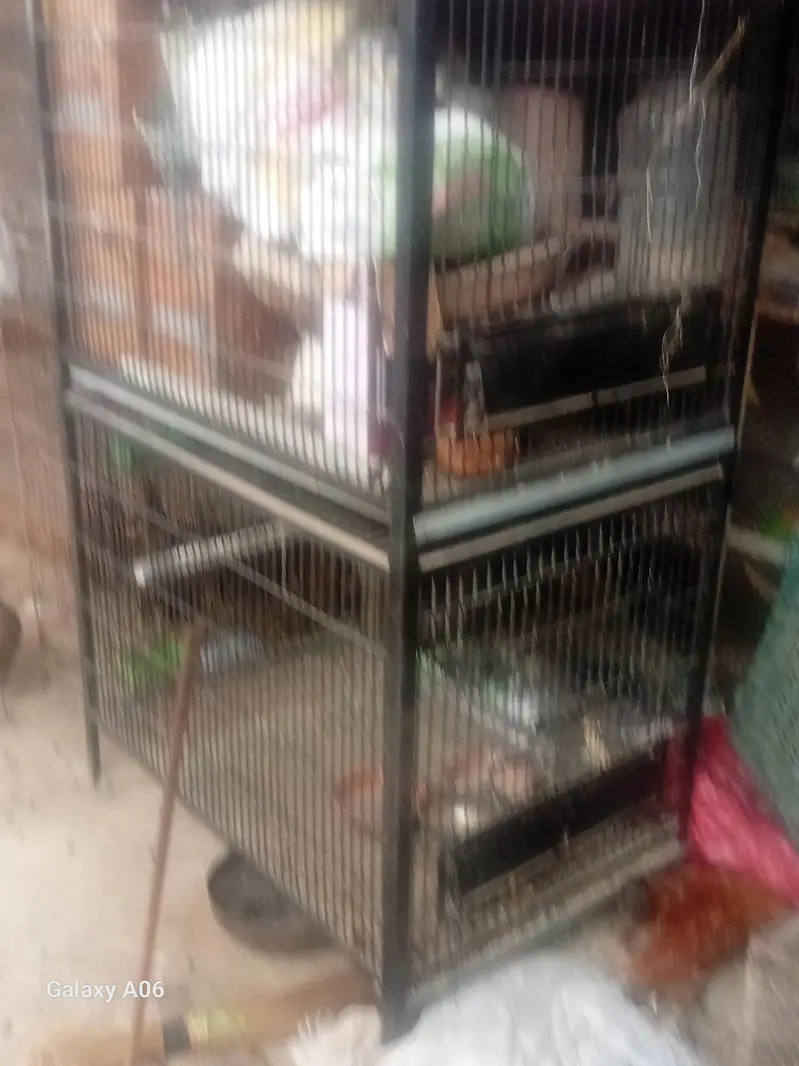 cages and frame — photo 4