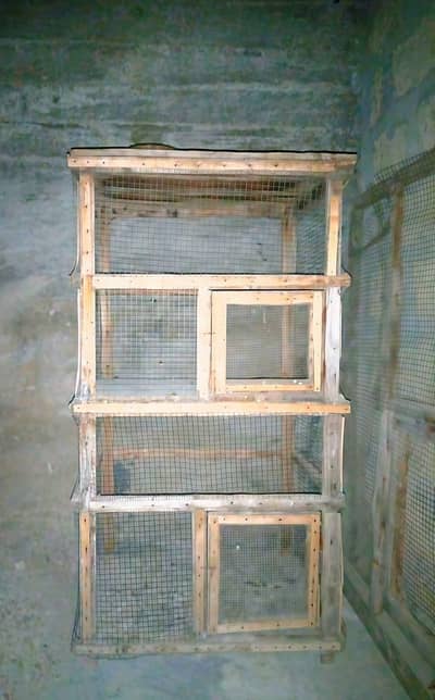 Wooden Bird Cage / Kabootar Cage - Strong & Spacious