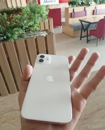 Apple iPhone 12