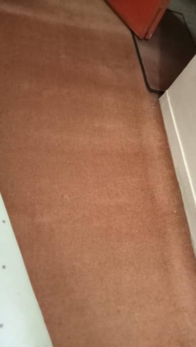 Carpet.