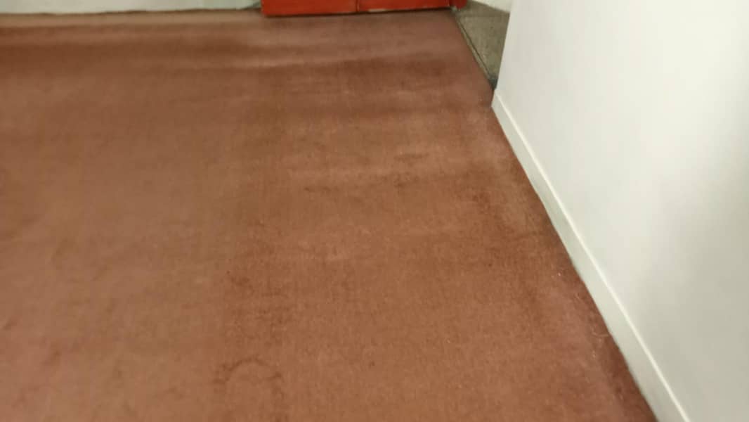 Carpet. 3