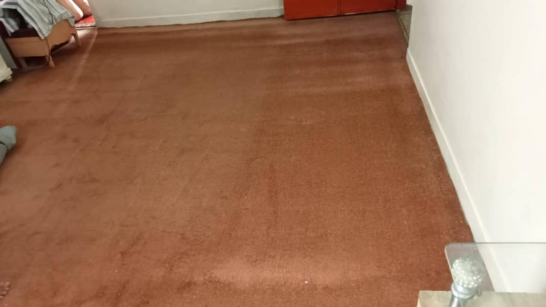 Carpet. 4