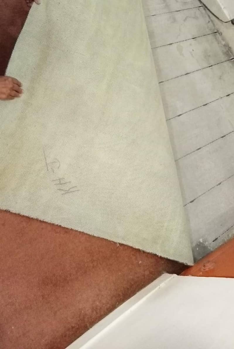 Carpet. 5