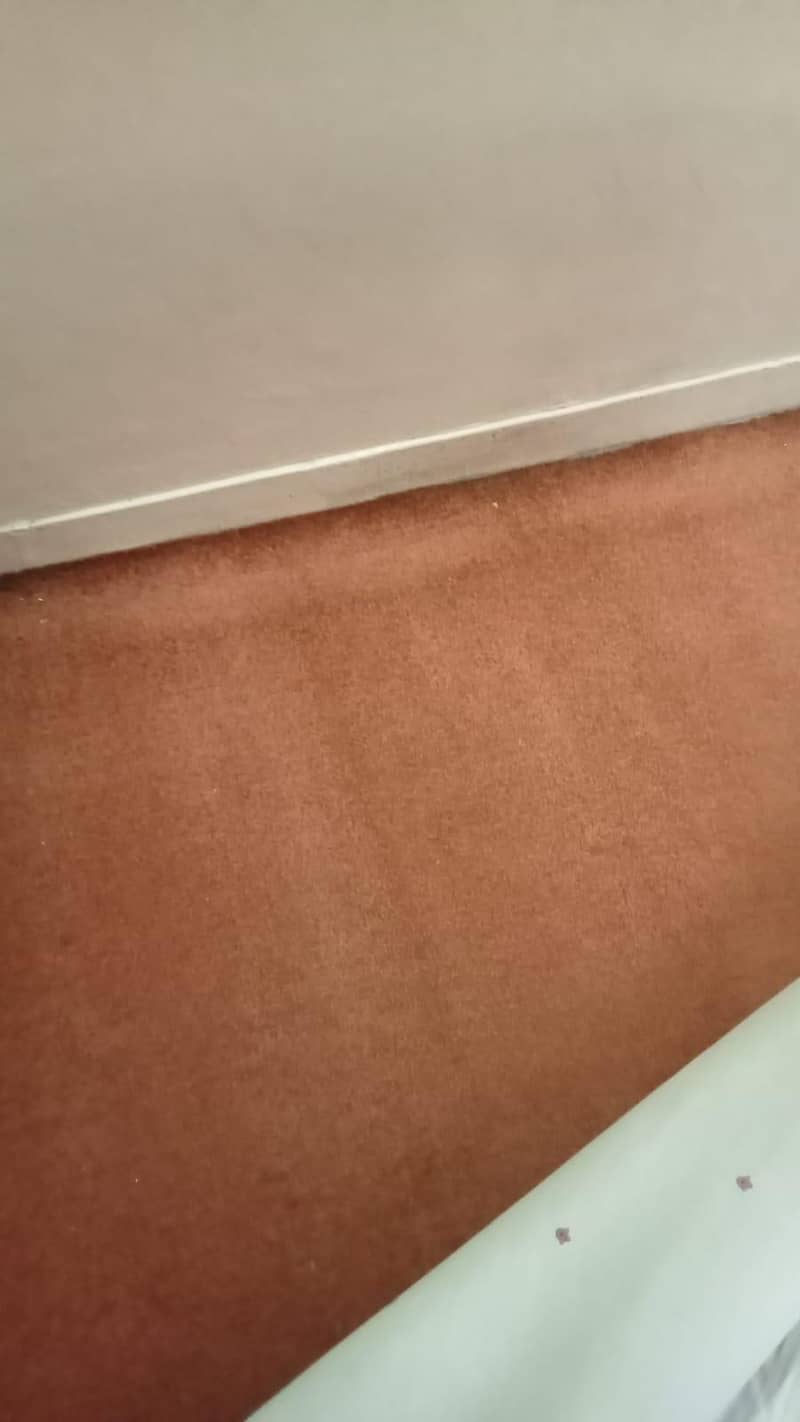 Carpet. 6