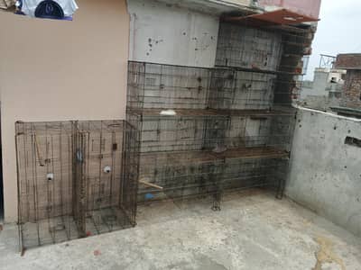 animal home 