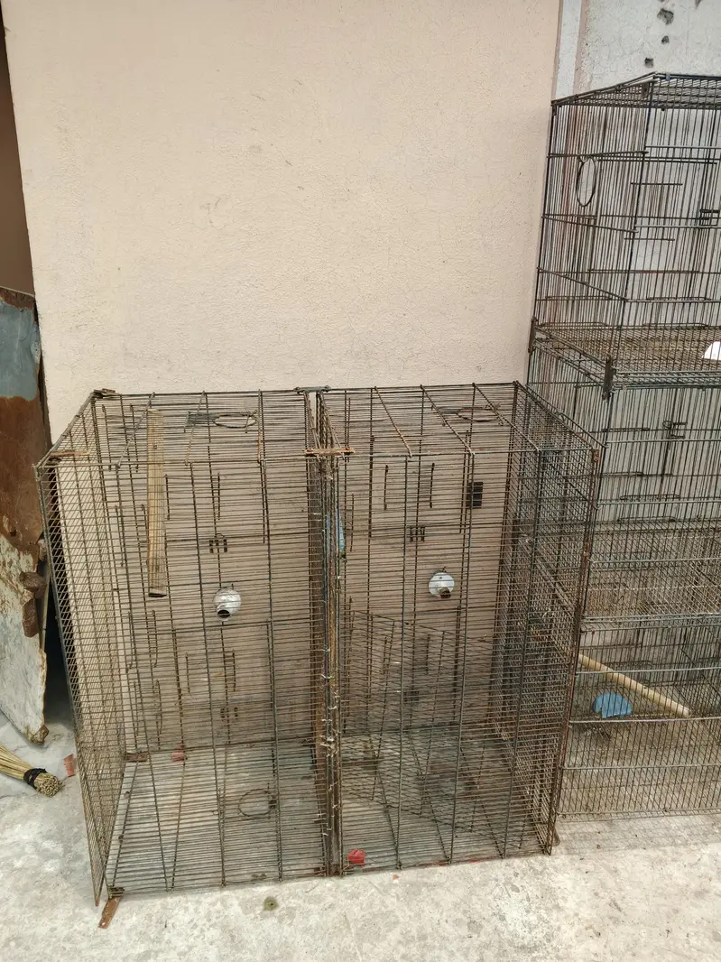 animal home  — photo 2