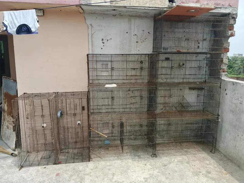 animal home  — photo 3