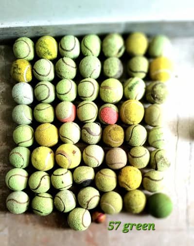 used Cricket Balls