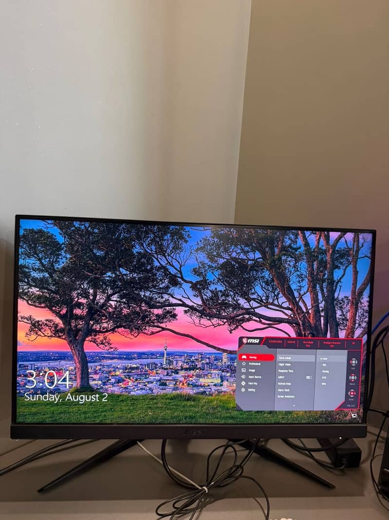 monitor 2