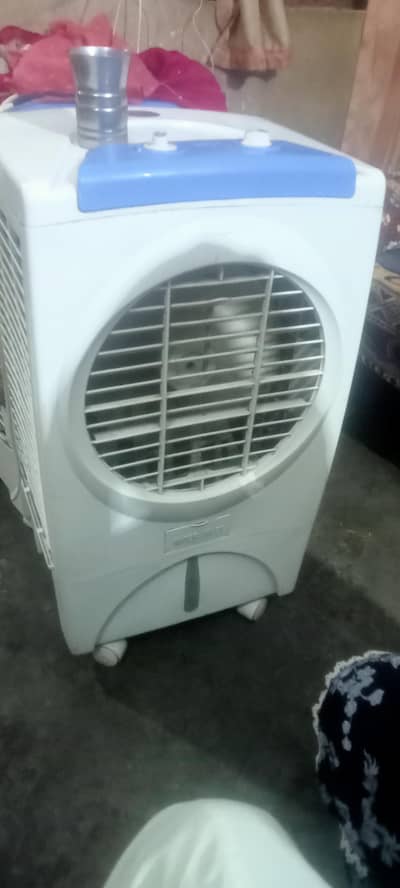 fan s
