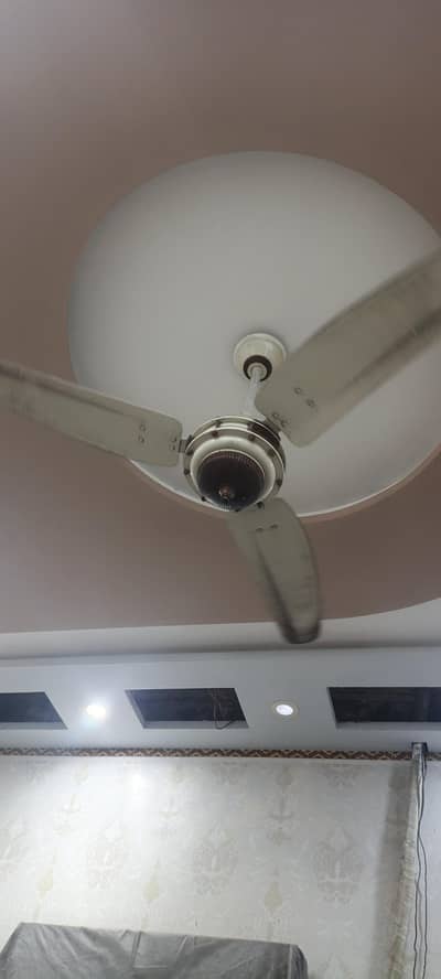 good fans question 4 fans