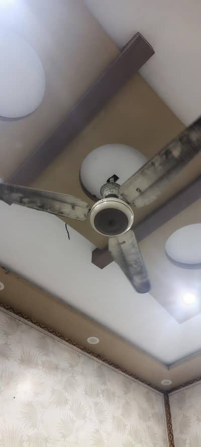 good fans question 4 fans