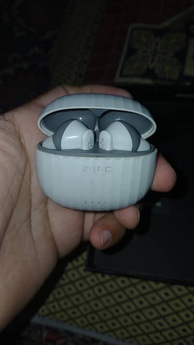 Zero carbon earbuds