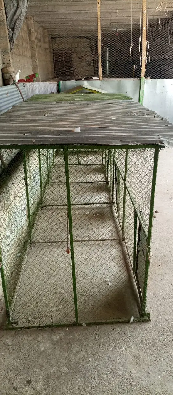 4 khana cage — photo 2