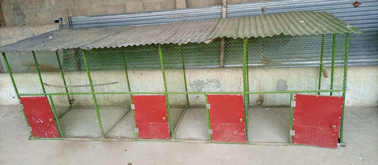 4 khana cage — photo 3
