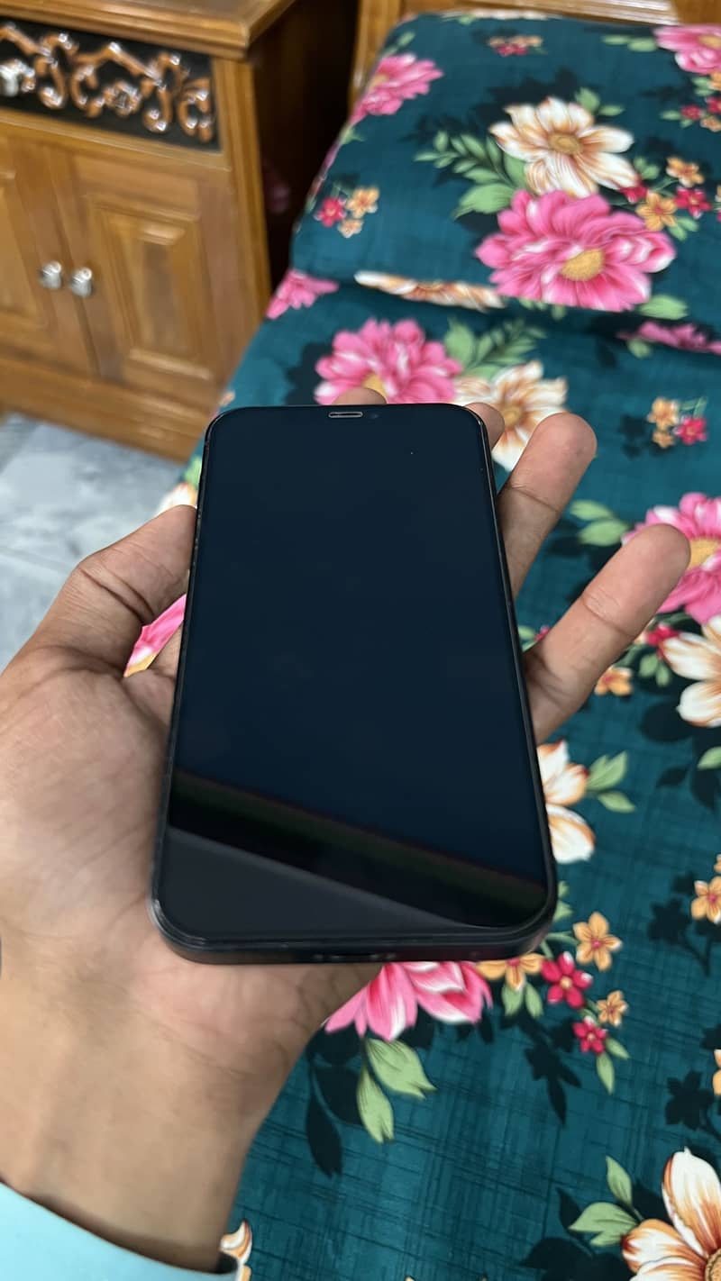 Apple iPhone 12 1