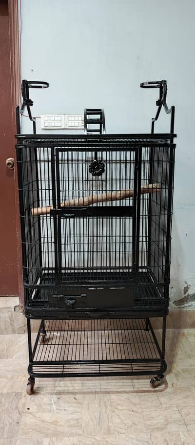 big cage/ pinjra for macaw cackatoo gray parrots urgent selling