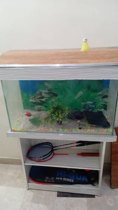 Fish Aquarium