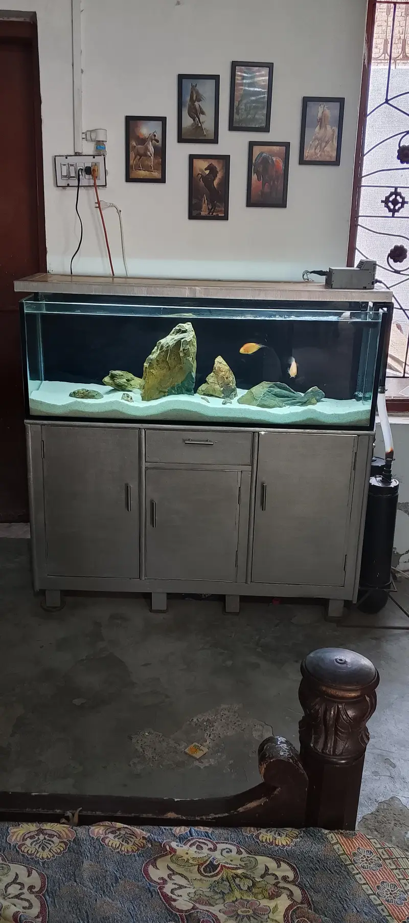 Aquarium full setup plus fishes — photo 2
