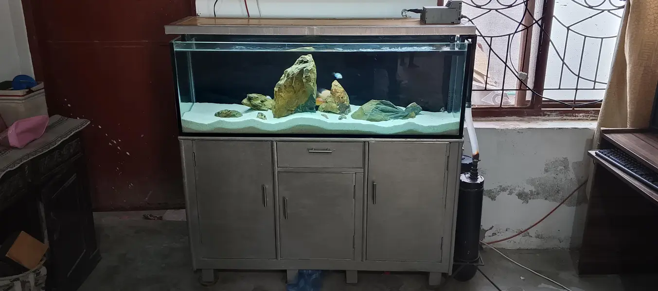 Aquarium full setup plus fishes — photo 3