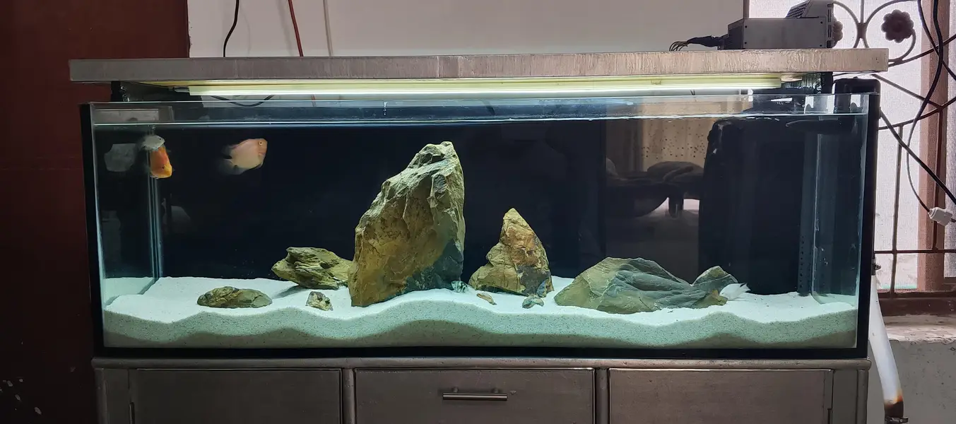 Aquarium full setup plus fishes — photo 4