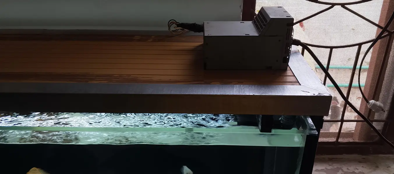 Aquarium full setup plus fishes — photo 5