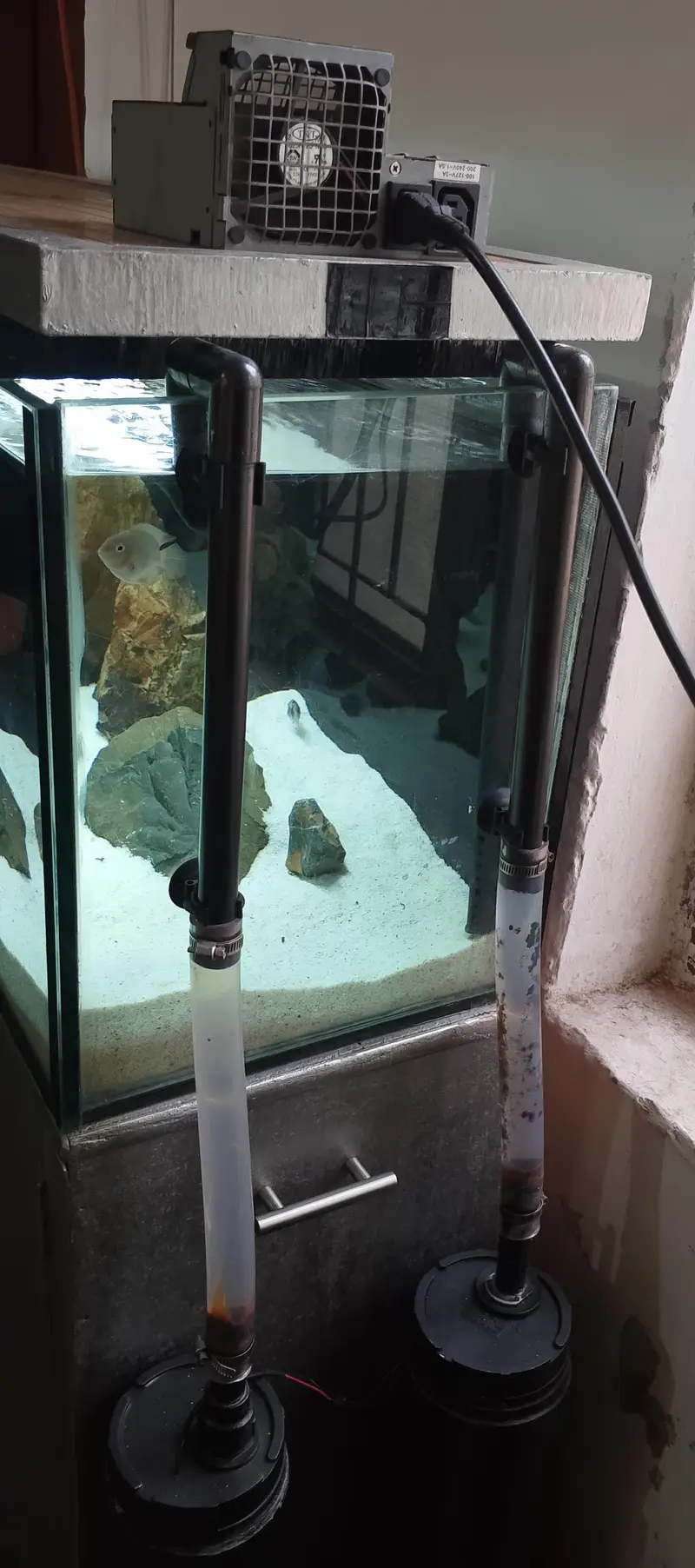 Aquarium full setup plus fishes — photo 6