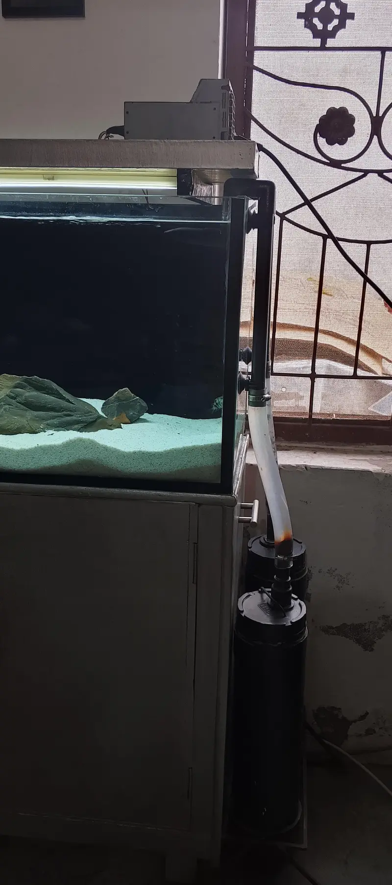 Aquarium full setup plus fishes — photo 7