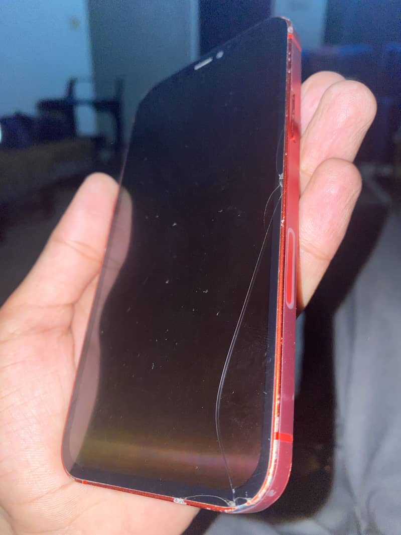 Apple iPhone 12 1